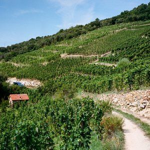 Meet your Posher, Derek